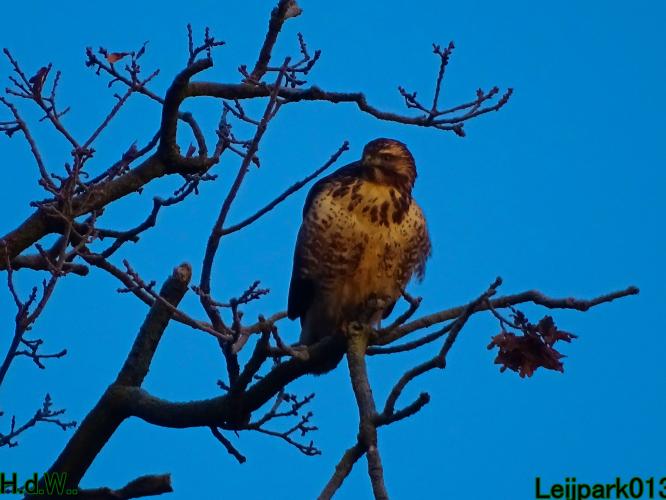 Leijpark013 21 &amp; 22 &amp; 23 &amp; 24 december 2022 