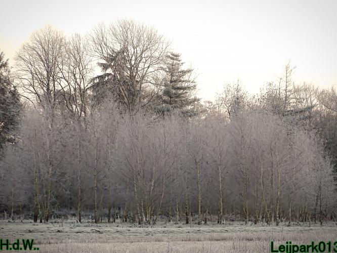 Leijpark013 21 &amp; 22 &amp; 23 &amp; 24 december 2022 