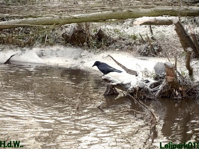 Leijpark013 21 &amp; 22 &amp; 23 &amp; 24 december 2022 