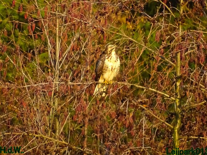 Leijpark013 21 &amp; 22 &amp; 23 &amp; 24 december 2022 