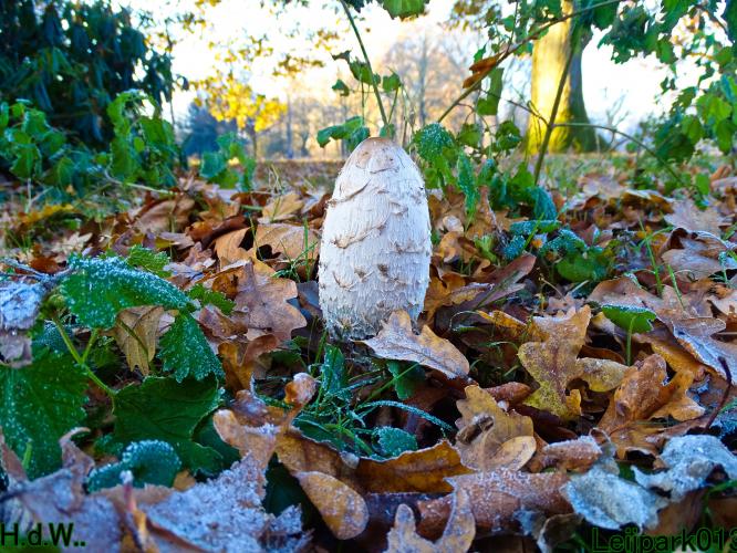 Leijpark013 21 &amp; 22 &amp; 23 &amp; 24 december 2022 