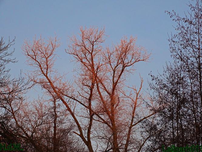 Leijpark013 21 &amp; 22 &amp; 23 &amp; 24 december 2022 