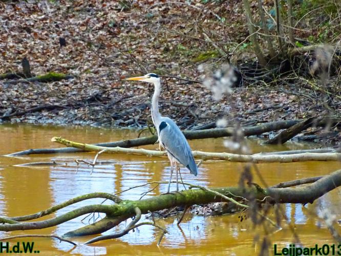 Leijpark013 1 &amp; 2 &amp; 3 &amp; 4 januari 2023 