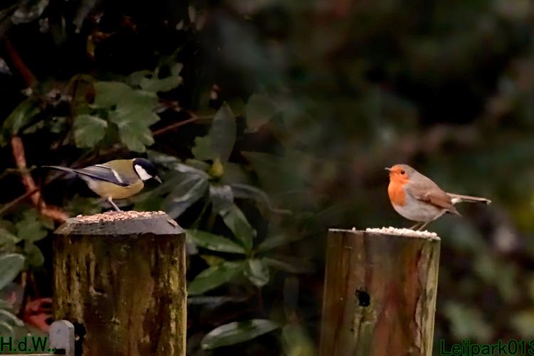 Leijpark013 1 &amp; 2 &amp; 3 &amp; 4 januari 2023 