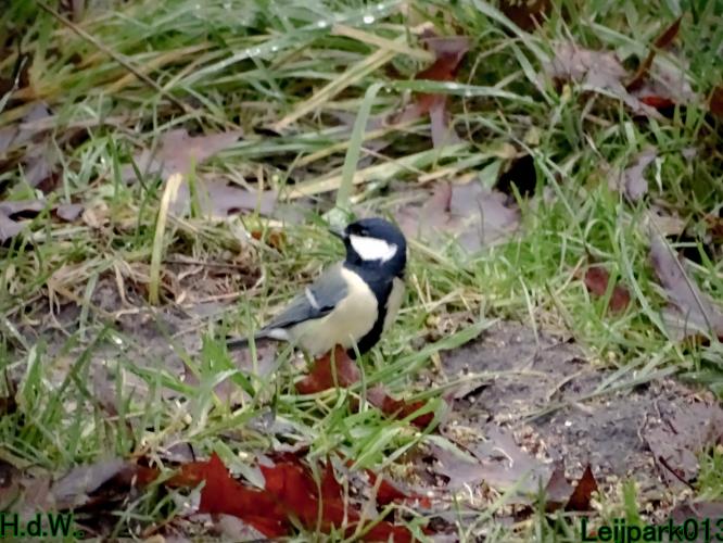 Leijpark013 1 &amp; 2 &amp; 3 &amp; 4 januari 2023 