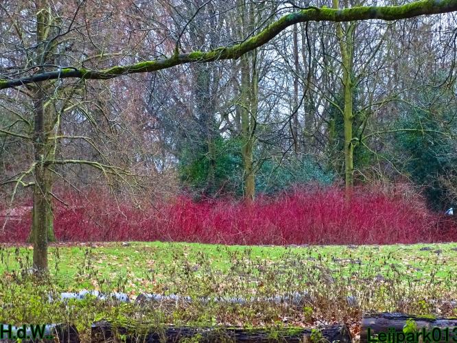 Leijpark013 1 &amp; 2 &amp; 3 &amp; 4 januari 2023 