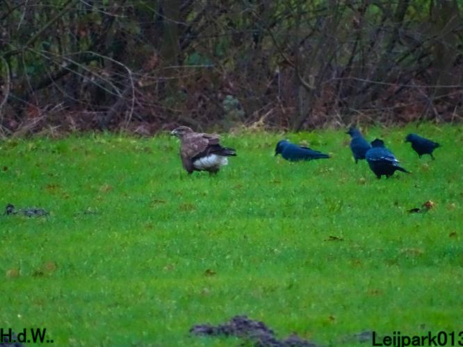 Leijpark013 1 &amp; 2 &amp; 3 &amp; 4 januari 2023 