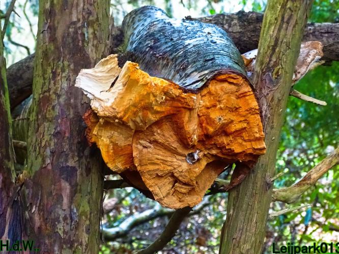 Leijpark013 1 &amp; 2 &amp; 3 &amp; 4 januari 2023 