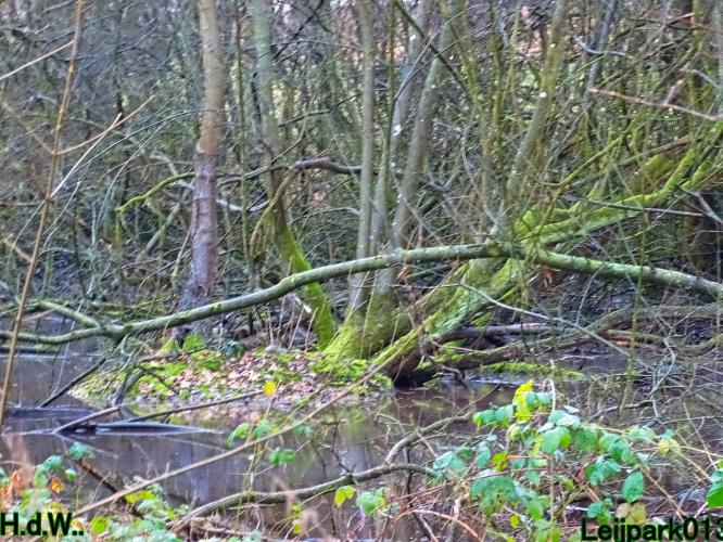 Leijpark013 1 &amp; 2 &amp; 3 &amp; 4 januari 2023 