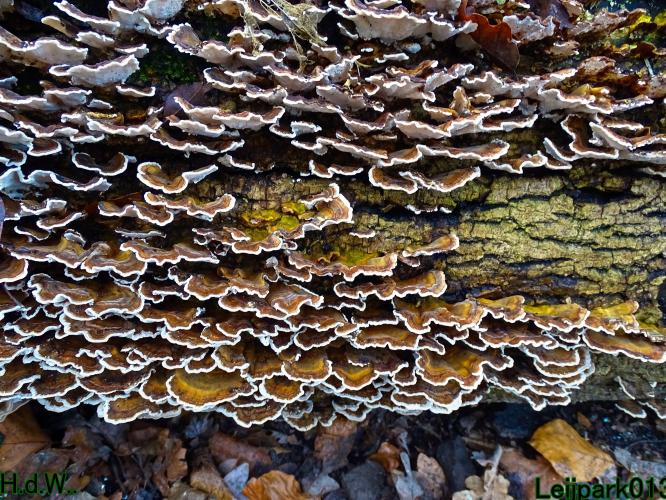 Leijpark013 1 &amp; 2 &amp; 3 &amp; 4 januari 2023 