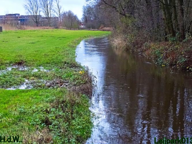 Leijpark013 1 &amp; 2 &amp; 3 &amp; 4 januari 2023 