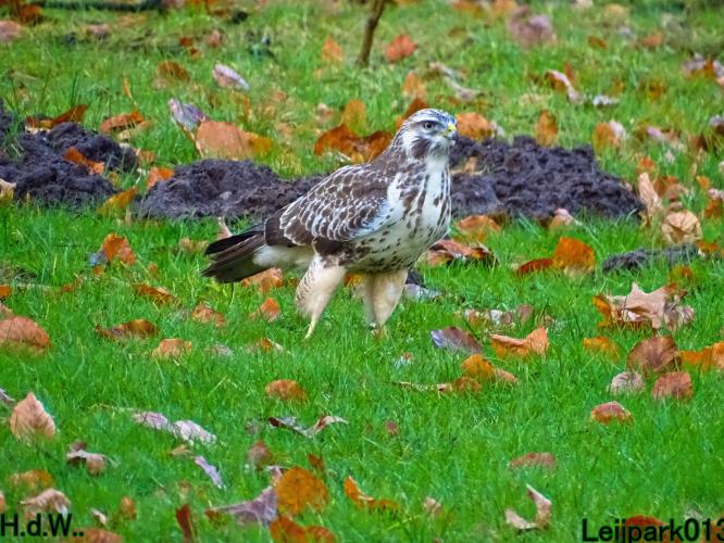 Leijpark013 9 &amp; 10 &amp; 11 &amp; 12 januari 2023 