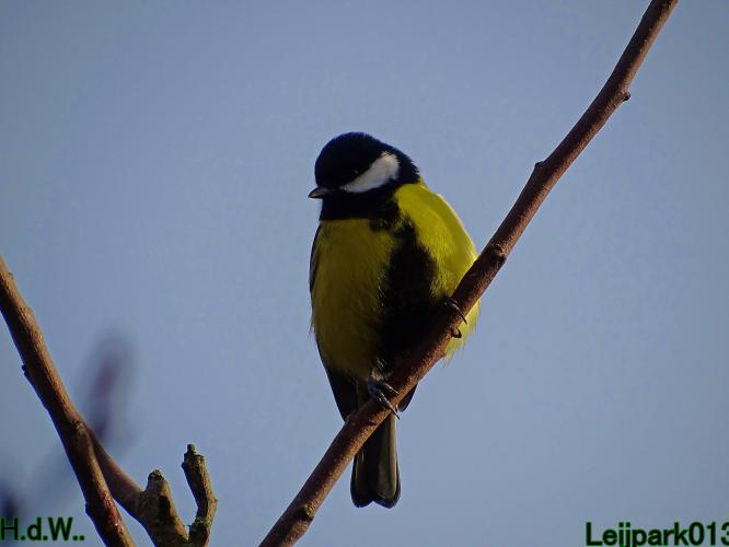 Leijpark013 9 &amp; 10 &amp; 11 &amp; 12 januari 2023 