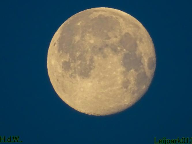 Leijpark013 9 &amp; 10 &amp; 11 &amp; 12 januari 2023 