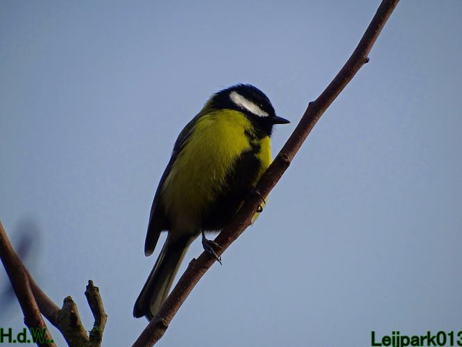 Leijpark013 9 &amp; 10 &amp; 11 &amp; 12 januari 2023 