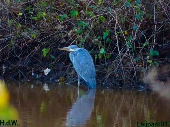 Leijpark013 9 &amp; 10 &amp; 11 &amp; 12 januari 2023 