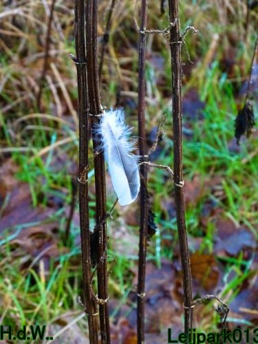 Leijpark013 9 &amp; 10 &amp; 11 &amp; 12 januari 2023 