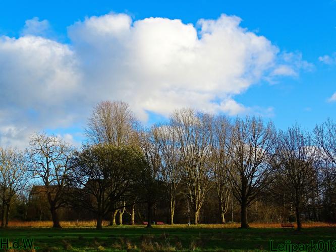 Leijpark013 9 &amp; 10 &amp; 11 &amp; 12 januari 2023 