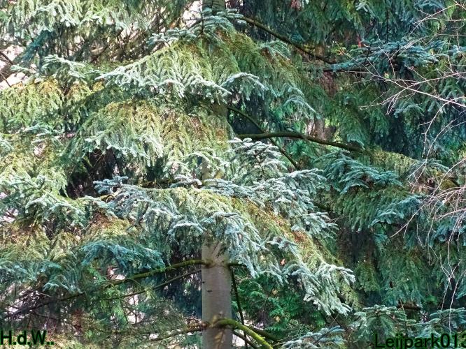 Leijpark013 9 &amp; 10 &amp; 11 &amp; 12 januari 2023 