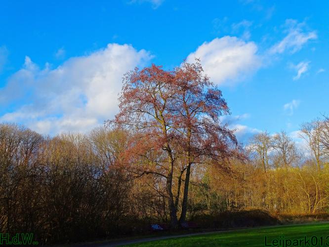 Leijpark013 9 &amp; 10 &amp; 11 &amp; 12 januari 2023 