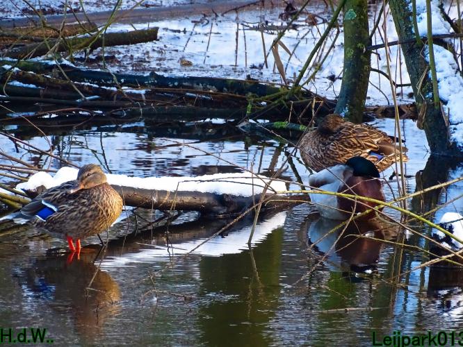 Leijpark013  21 &amp; 22 &amp; 23 &amp; 24 januari 2023 