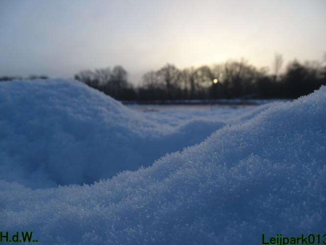 Leijpark013  21 &amp; 22 &amp; 23 &amp; 24 januari 2023 