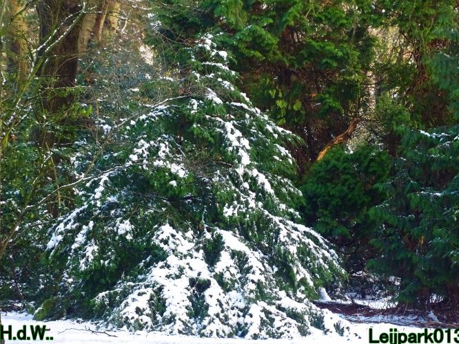 Leijpark013  21 &amp; 22 &amp; 23 &amp; 24 januari 2023 