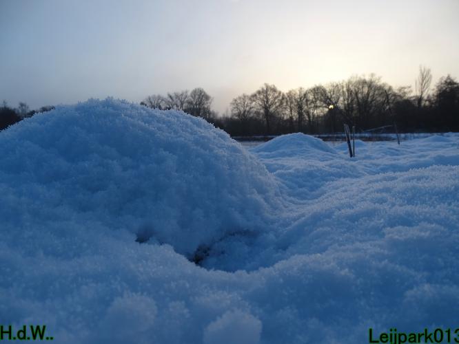 Leijpark013  21 &amp; 22 &amp; 23 &amp; 24 januari 2023 