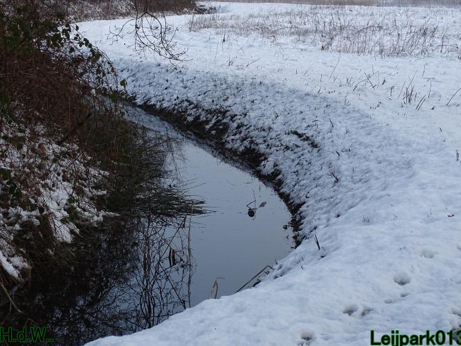 Leijpark013  21 &amp; 22 &amp; 23 &amp; 24 januari 2023 