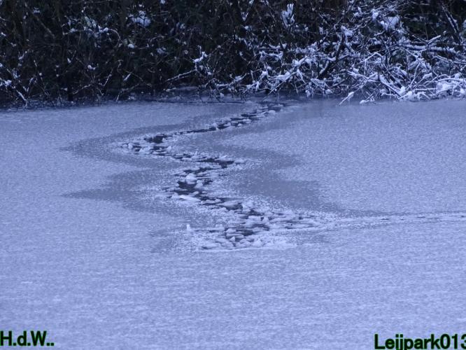 Leijpark013  21 &amp; 22 &amp; 23 &amp; 24 januari 2023 