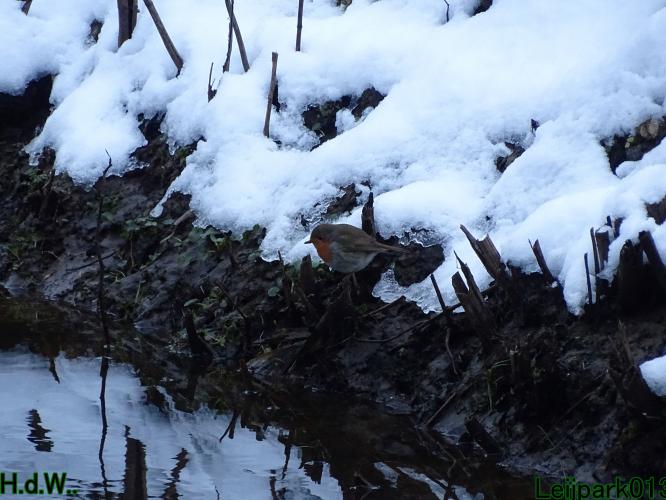 Leijpark013  21 &amp; 22 &amp; 23 &amp; 24 januari 2023 