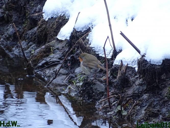 Leijpark013  21 &amp; 22 &amp; 23 &amp; 24 januari 2023 