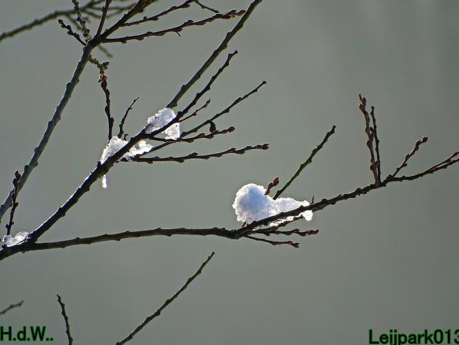 Leijpark013  21 &amp; 22 &amp; 23 &amp; 24 januari 2023 