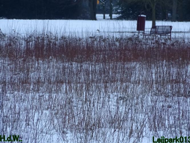 Leijpark013  21 &amp; 22 &amp; 23 &amp; 24 januari 2023 