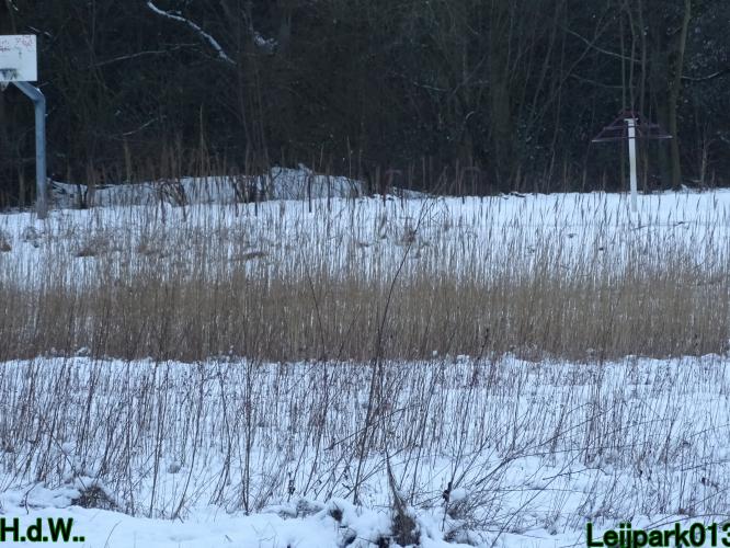 Leijpark013  21 &amp; 22 &amp; 23 &amp; 24 januari 2023 