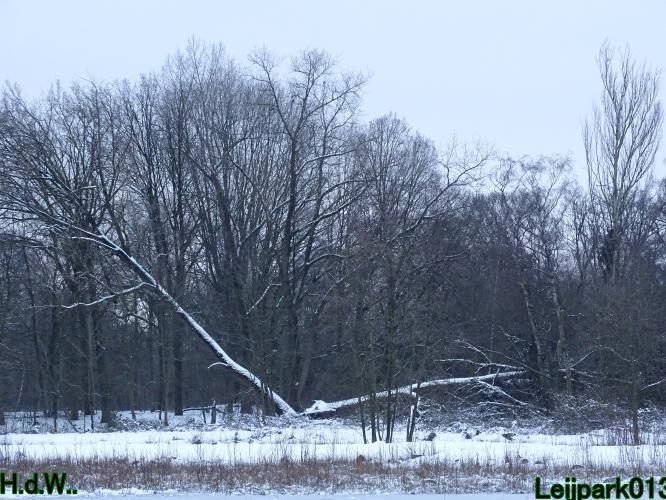 Leijpark013  21 &amp; 22 &amp; 23 &amp; 24 januari 2023 