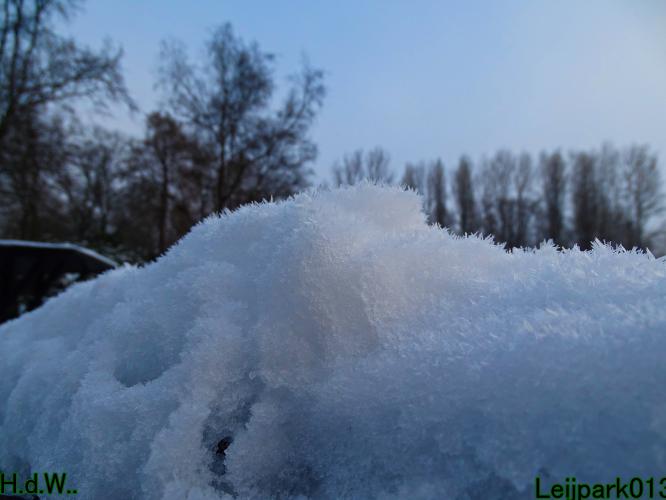 Leijpark013  21 &amp; 22 &amp; 23 &amp; 24 januari 2023 