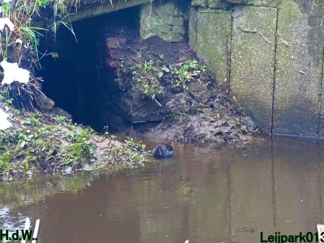 Leijpark013  21 &amp; 22 &amp; 23 &amp; 24 januari 2023 