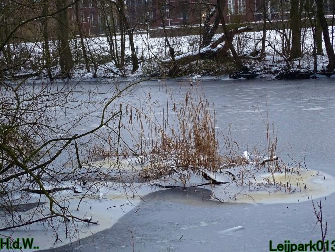 Leijpark013  21 &amp; 22 &amp; 23 &amp; 24 januari 2023 