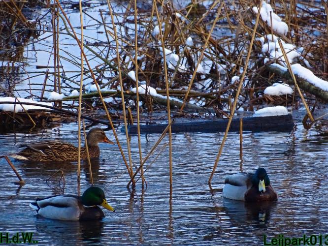 Leijpark013  21 &amp; 22 &amp; 23 &amp; 24 januari 2023 