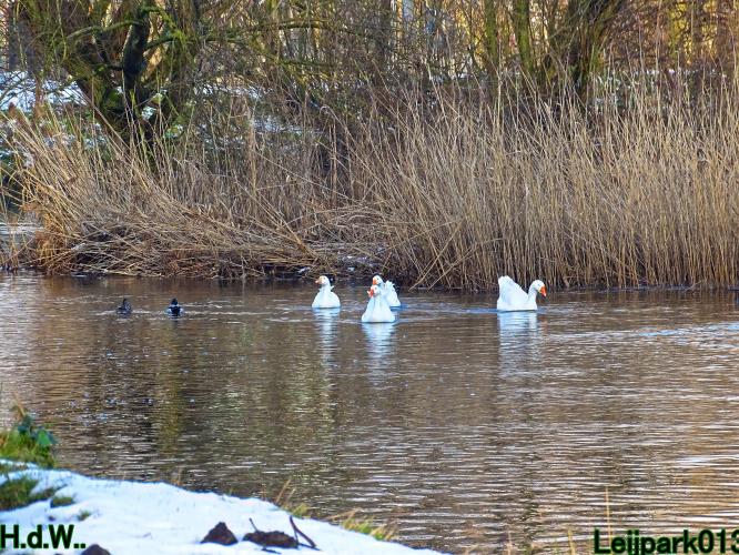 Leijpark013  21 &amp; 22 &amp; 23 &amp; 24 januari 2023 