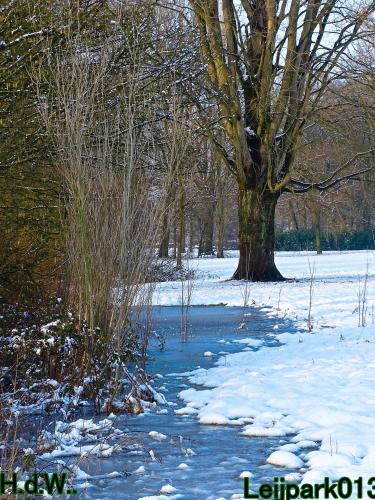 Leijpark013  21 &amp; 22 &amp; 23 &amp; 24 januari 2023 