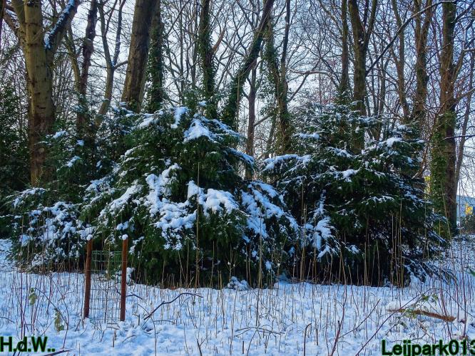 Leijpark013  21 &amp; 22 &amp; 23 &amp; 24 januari 2023 