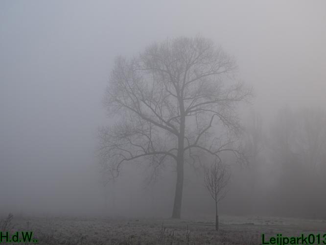 #leijpark013 6 &amp; 7 &amp; 8 &amp; 9 februari 2023 