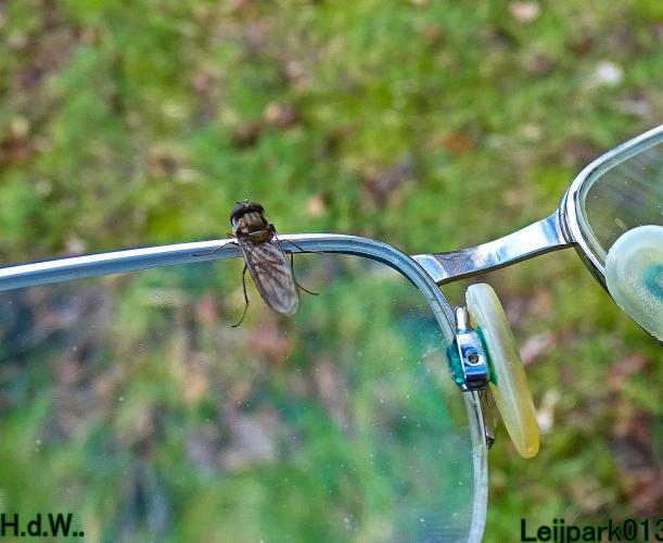 #leijpark013 6 &amp; 7 &amp; 8 &amp; 9 februari 2023 