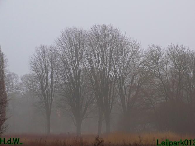 #leijpark013 6 &amp; 7 &amp; 8 &amp; 9 februari 2023 