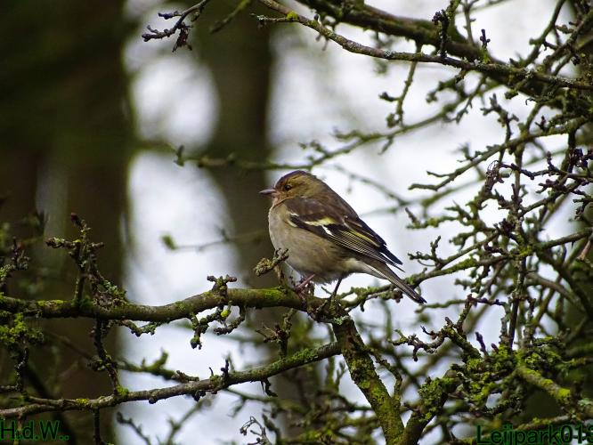 #leijpark013 6 &amp; 7 &amp; 8 &amp; 9 februari 2023 