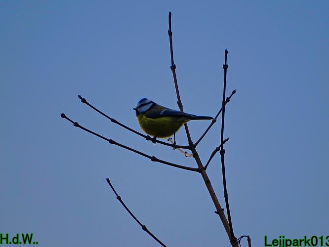 #leijpark013 6 &amp; 7 &amp; 8 &amp; 9 februari 2023 