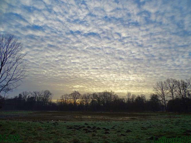 #leijpark013 6 &amp; 7 &amp; 8 &amp; 9 februari 2023 