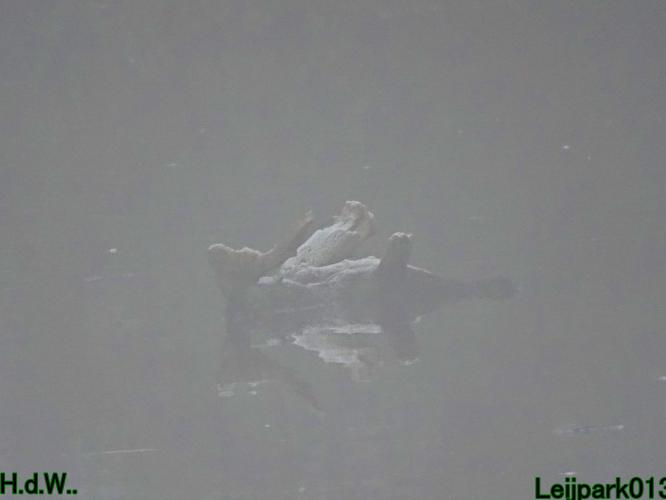 #leijpark013 6 &amp; 7 &amp; 8 &amp; 9 februari 2023 